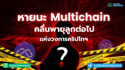 หายนะ Multichain Website Article-01