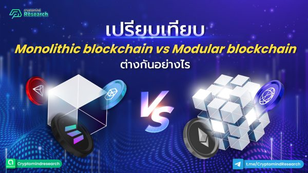 Aw เปรียบเทียบ Mono Blockchain vs Modular Blockchain-01