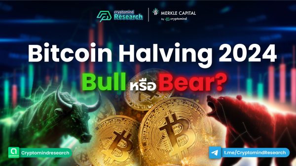 Halving - Research x Merkle Article-02