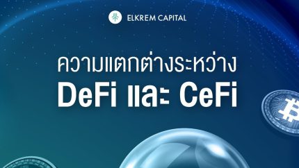 cefi defi