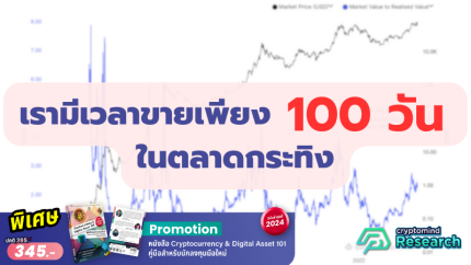 เรามีเวลาขายเพียง 100 วันในตลาดกระทิง